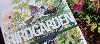 Birdgarden – Angela Zaffignani