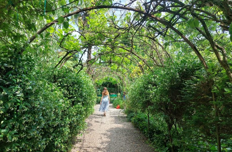 Giardino e allergie: vivere il verde senza starnutire