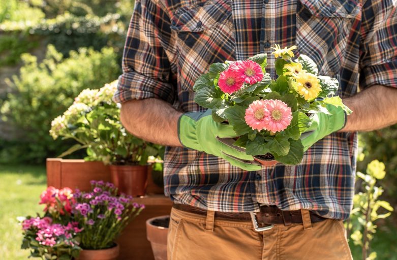 Garden Therapy