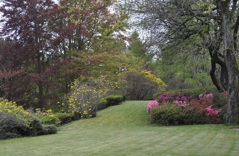 Il Giardino ci protegge