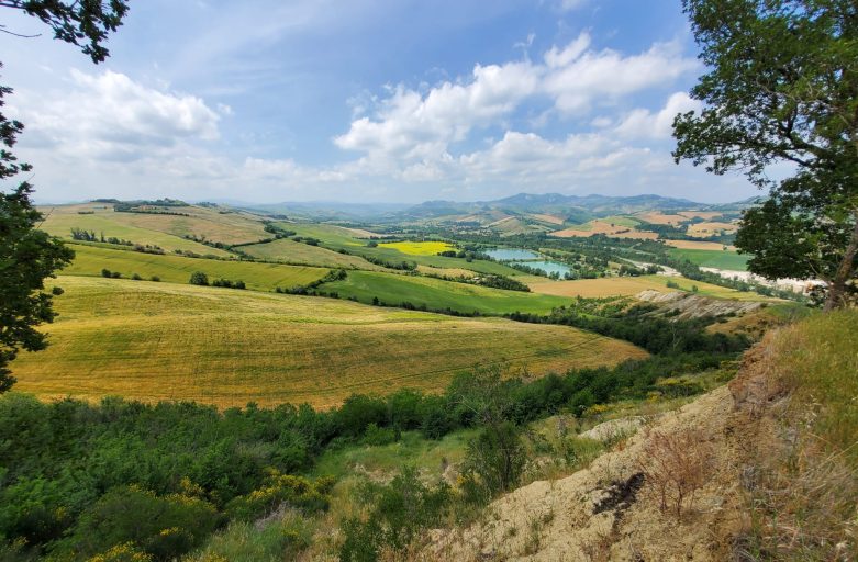 I suoni della Natura