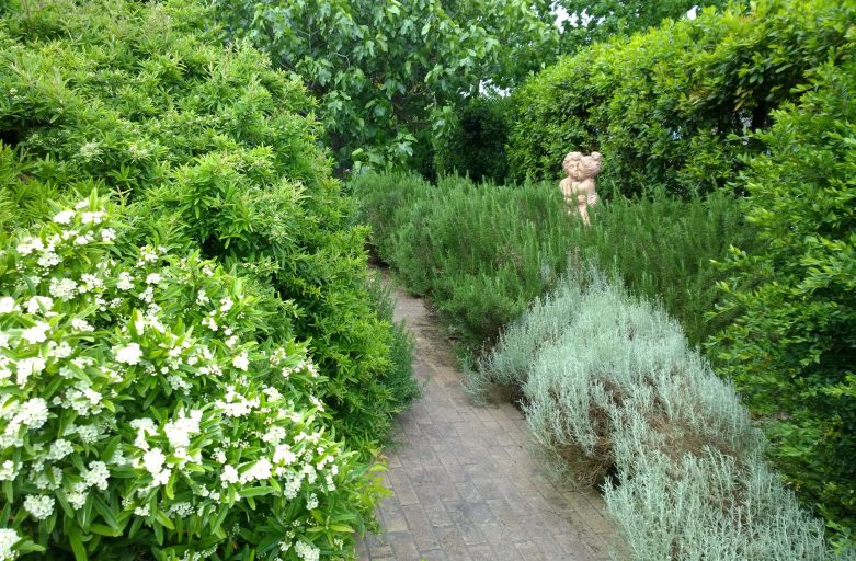 Come Piante e Giardini possono proteggere la nostra mente dal cambiamento climatico