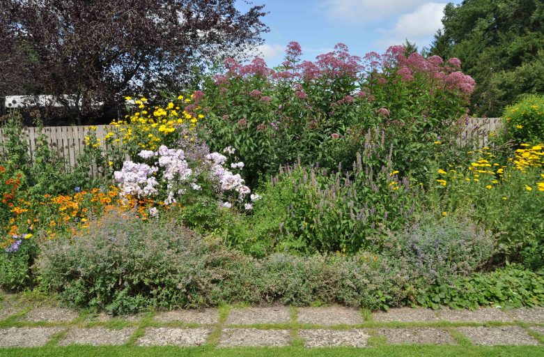 Lotta naturale ai parassiti: allearsi con la biodiversità per un giardino sano