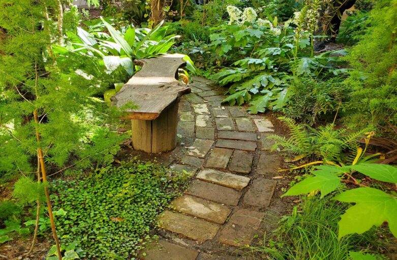 Progettare e realizzare un giardino attraente