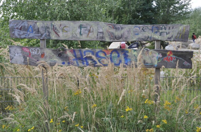 Oltre il “Verde Urbano”: Perché le nostre città hanno bisogno di Natura vera