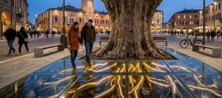 Perché un albero sta in piedi? La resilienza urbana parte dalle radici